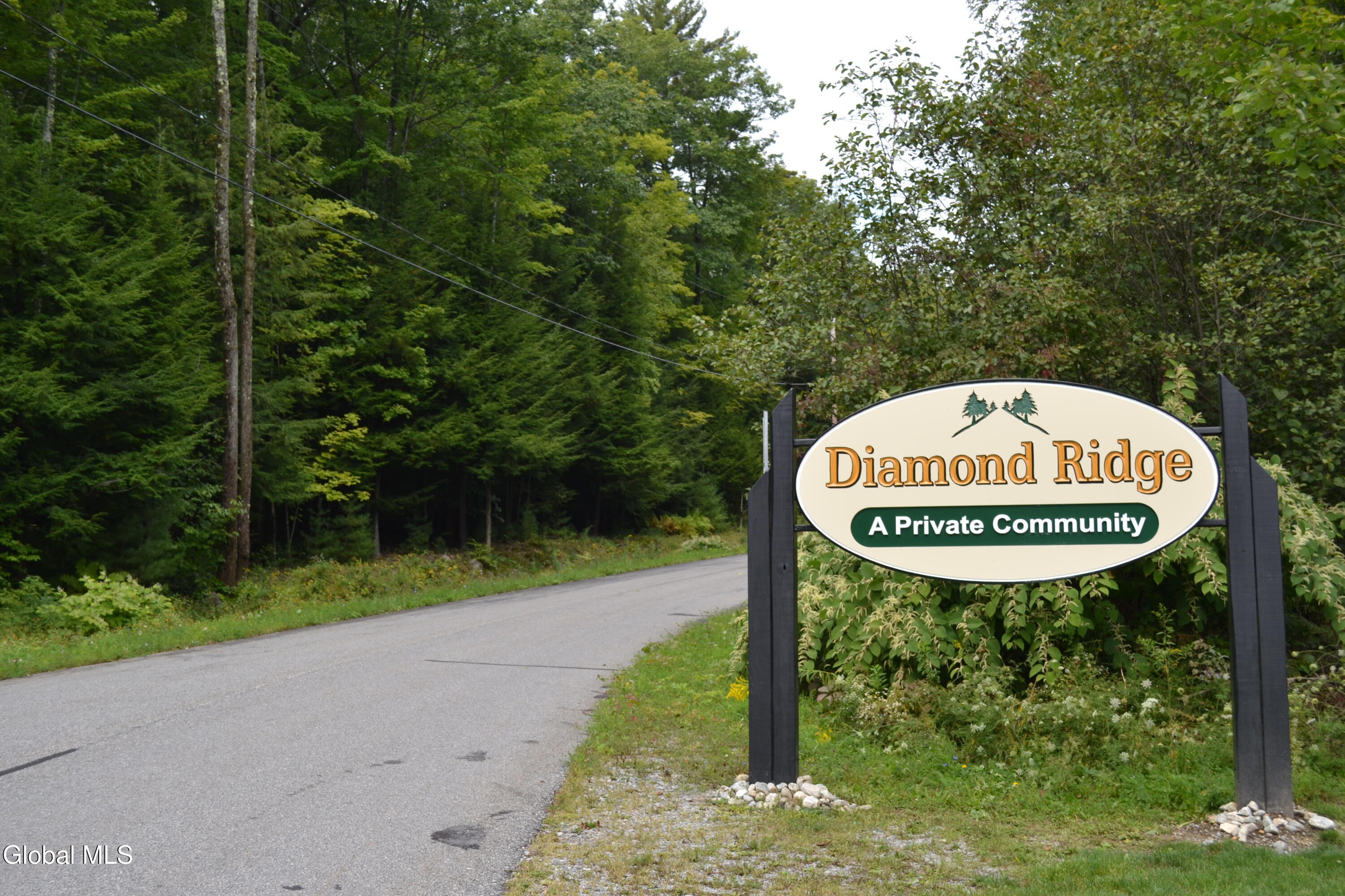 9 Diamond Ridge Road Diamond Point, NY 12824 - Photo 2 of 13 DSC_0275