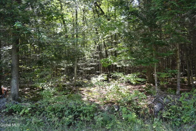 $225,000 | 9 Diamond Ridge Road, Diamond Point, NY 12824