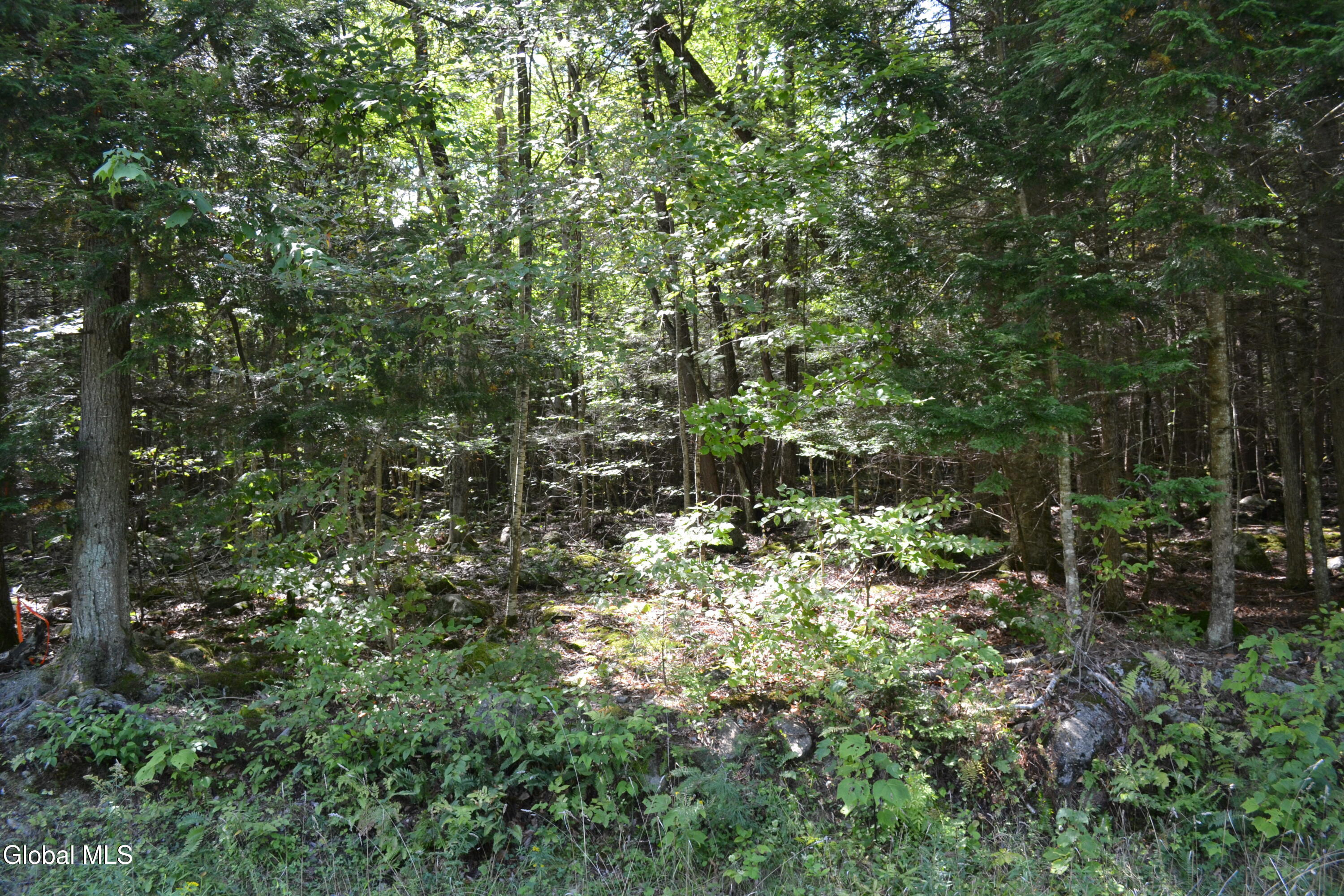 9 Diamond Ridge Road Diamond Point, NY 12824 - Photo 4 of 13 DSC_0084