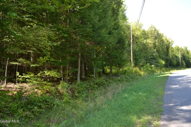$225,000 | 9 Diamond Ridge Road, Diamond Point, NY 12824