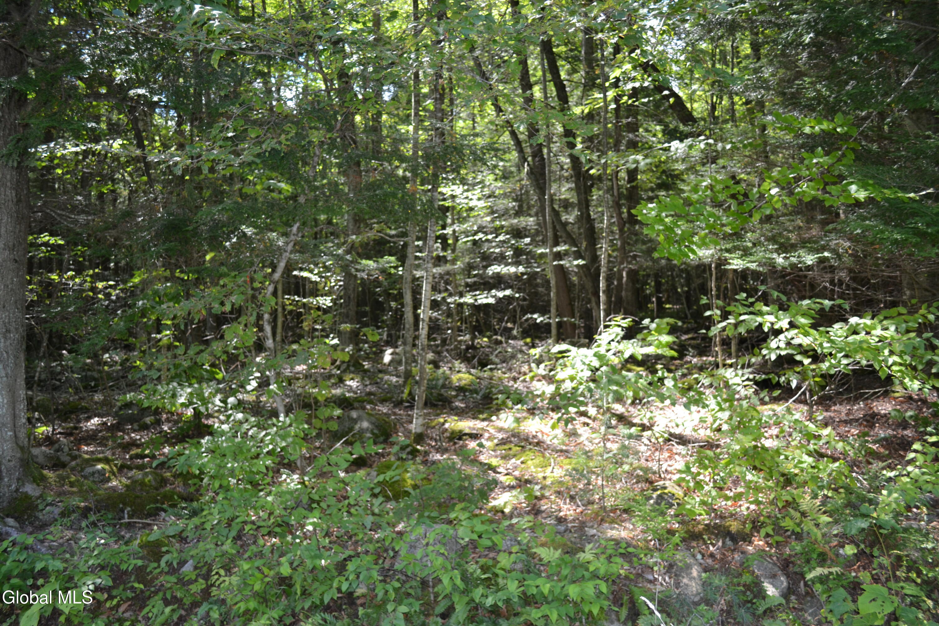 9 Diamond Ridge Road Diamond Point, NY 12824 - Photo 7 of 13 DSC_0087