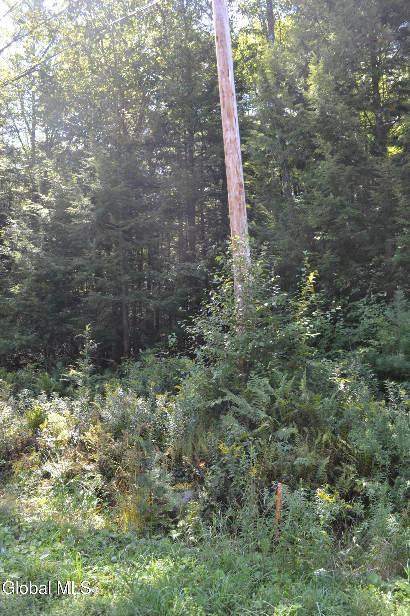 9 Diamond Ridge Road Diamond Point, NY 12824 - Photo 8 of 13 DSC_0092