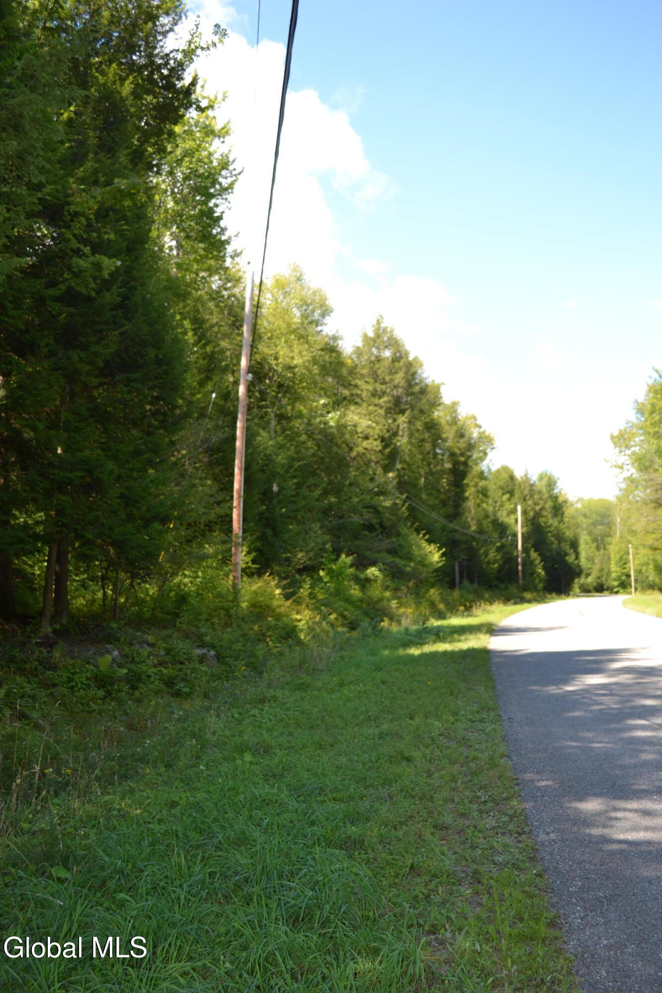 9 Diamond Ridge Road Diamond Point, NY 12824 - Photo 9 of 13 DSC_0088