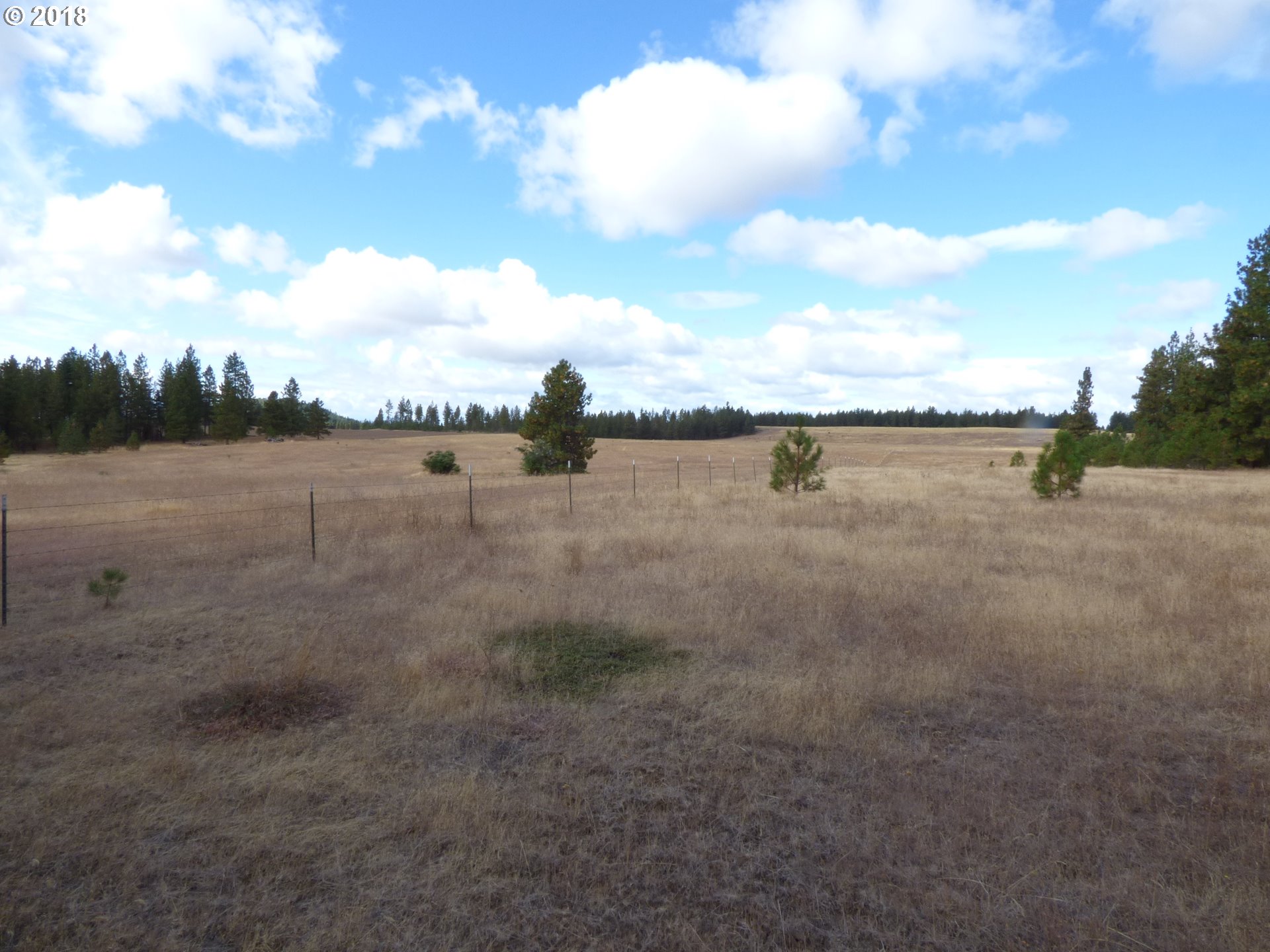 Browns Road Goldendale, WA 98620 - Photo 2 of 20 Gallery Image 2