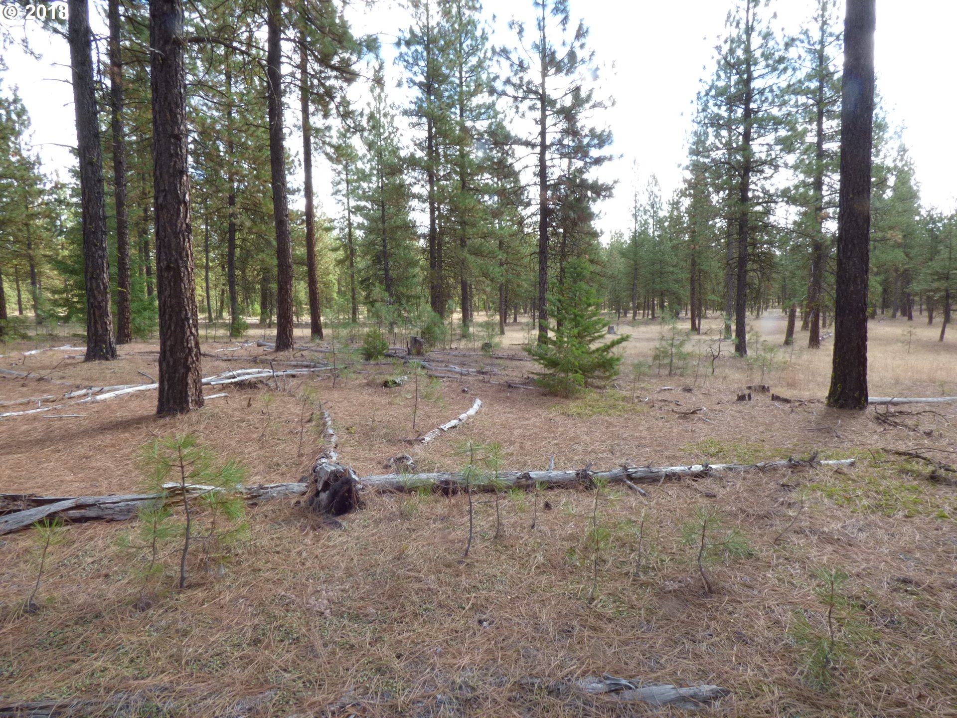 Browns Road Goldendale, WA 98620 - Photo 12 of 20 Gallery Image 12
