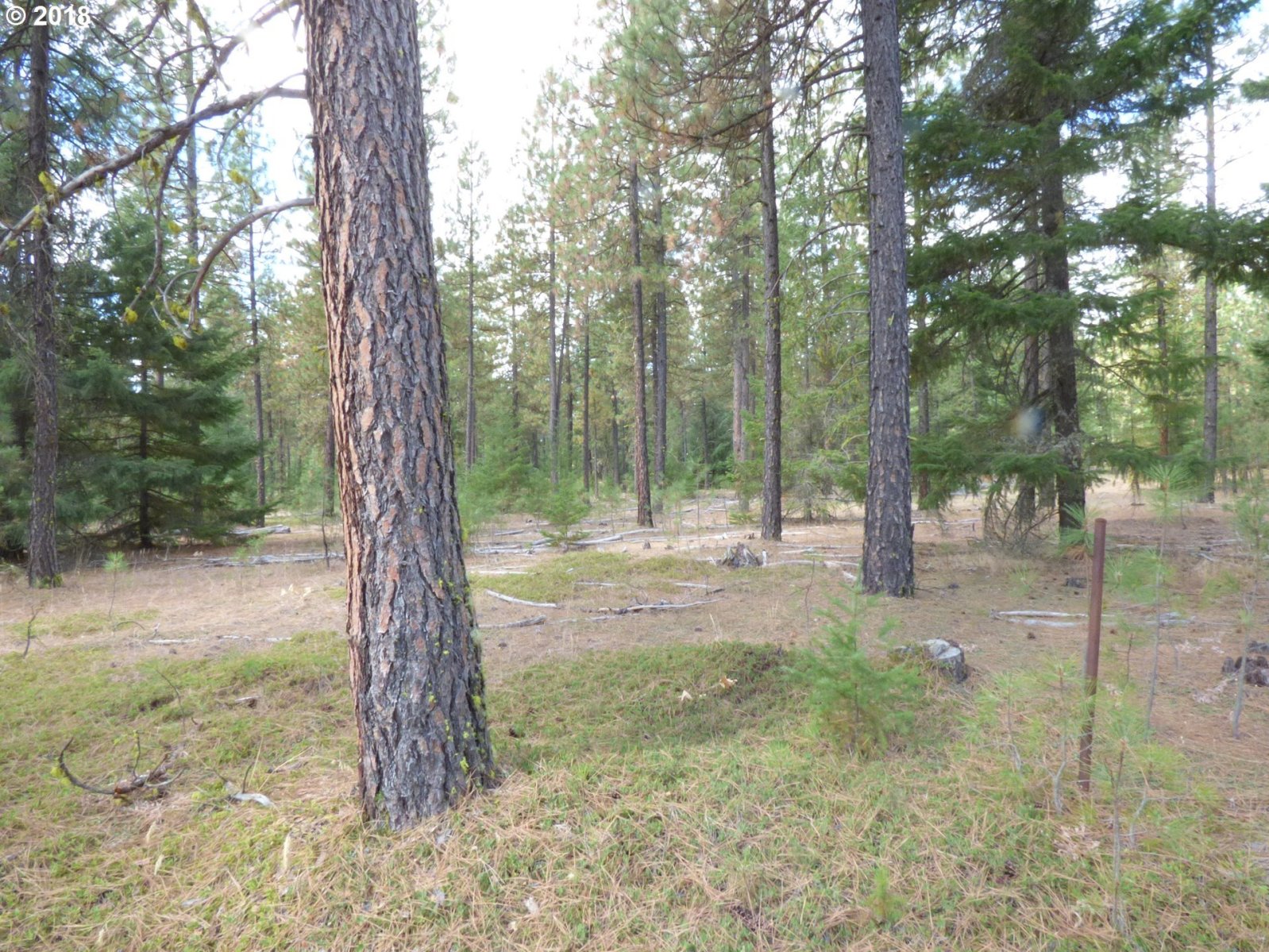 Browns Road Goldendale, WA 98620 - Photo 15 of 20 Gallery Image 15