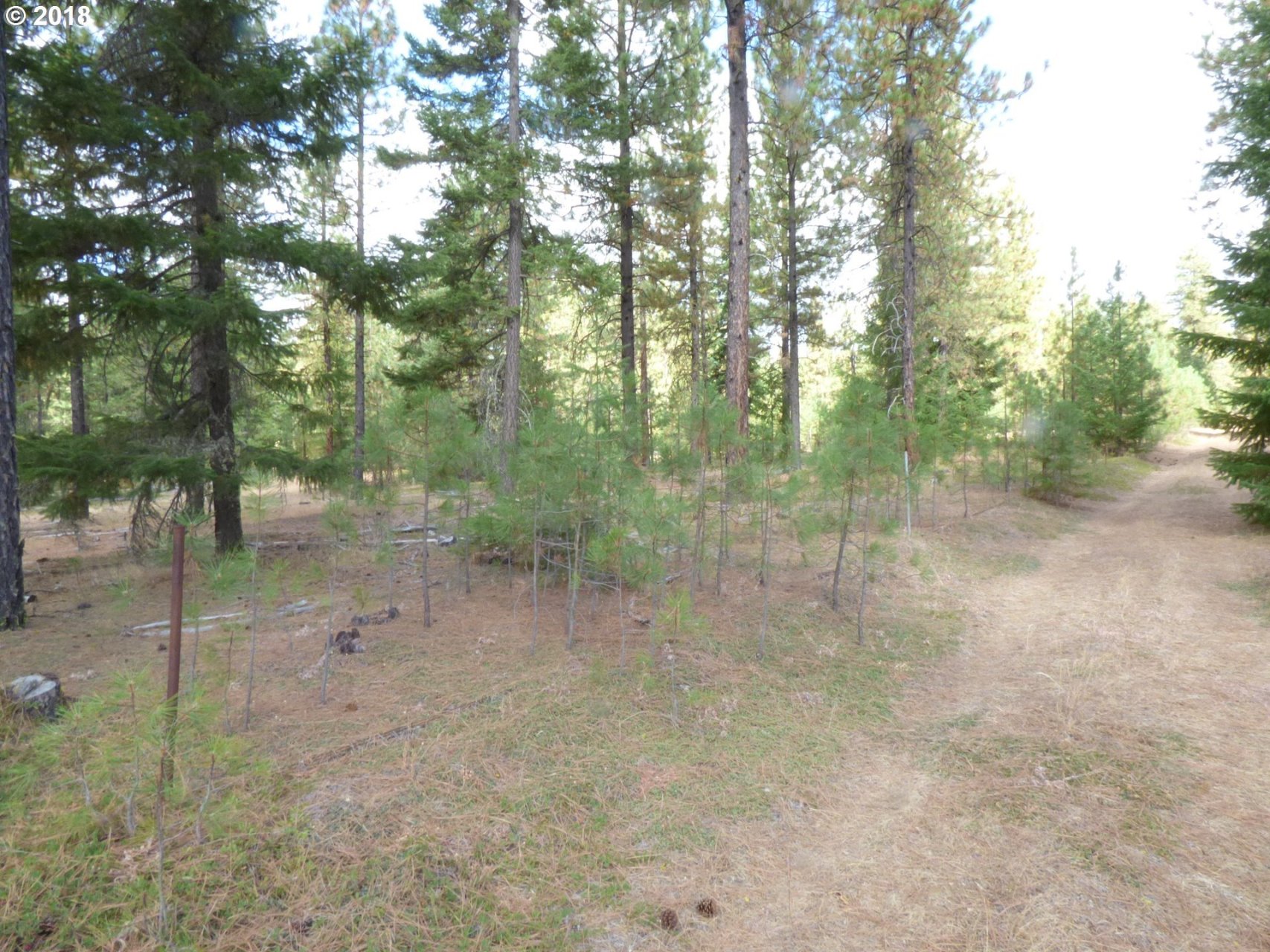 Browns Road Goldendale, WA 98620 - Photo 17 of 20 Gallery Image 17