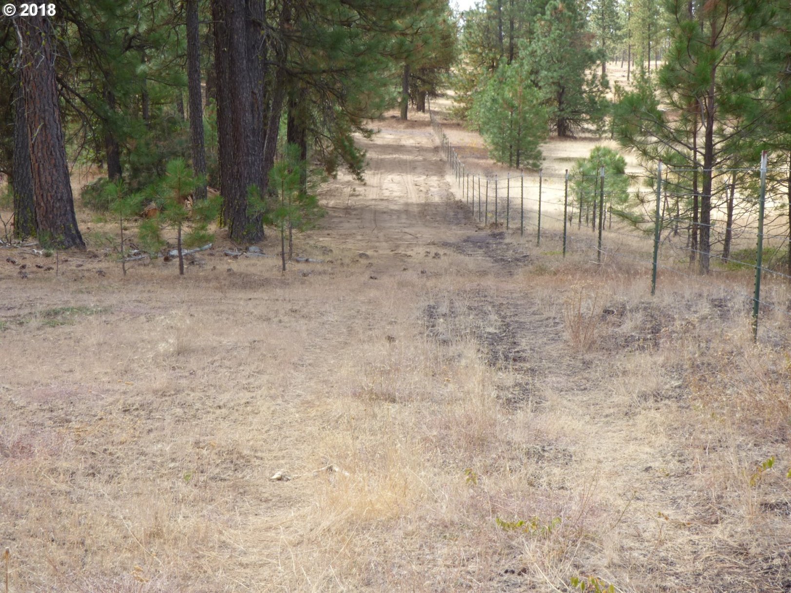 Browns Road Goldendale, WA 98620 - Photo 3 of 20 Gallery Image 3