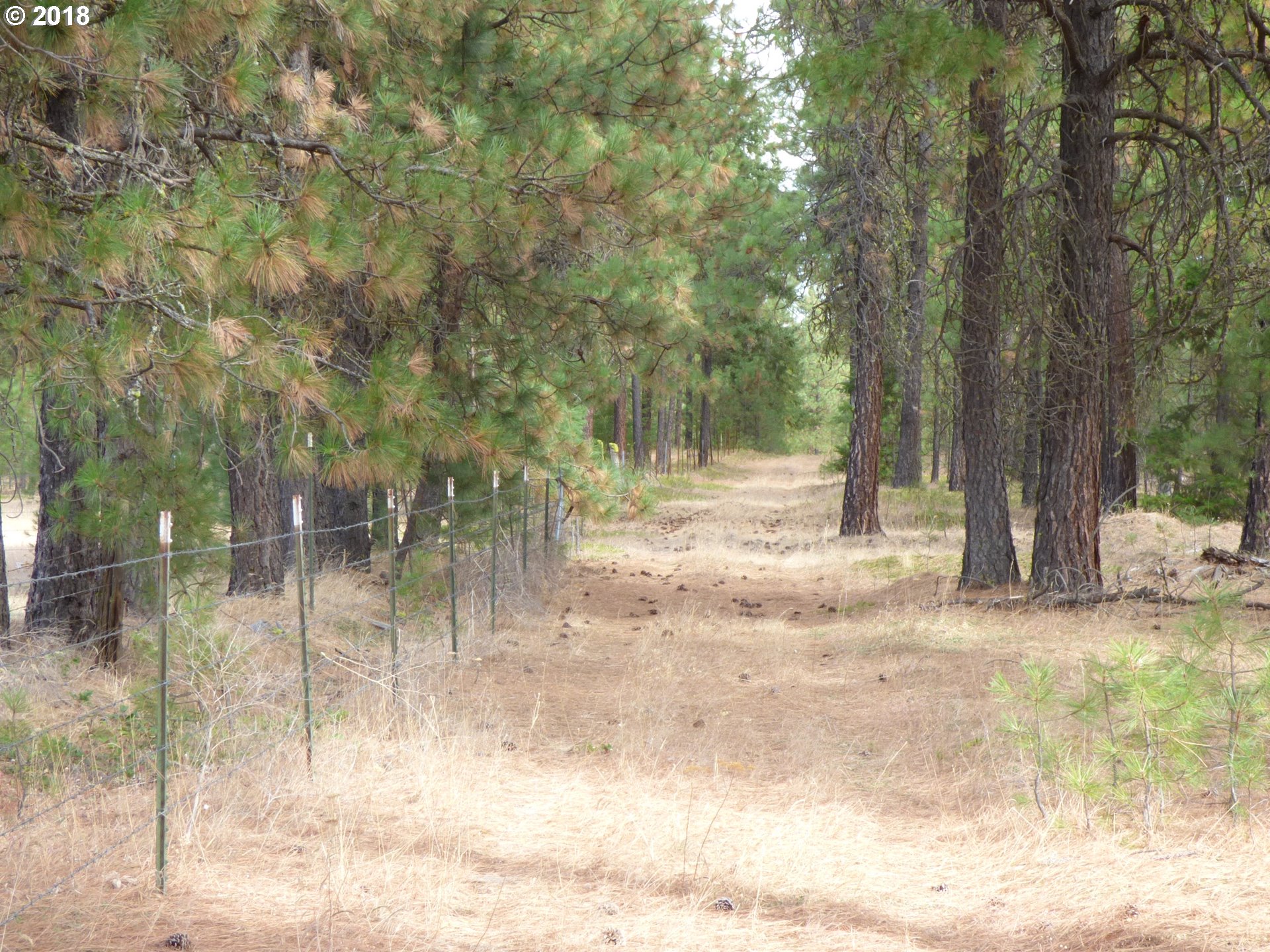 Browns Road Goldendale, WA 98620 - Photo 4 of 20 Gallery Image 4