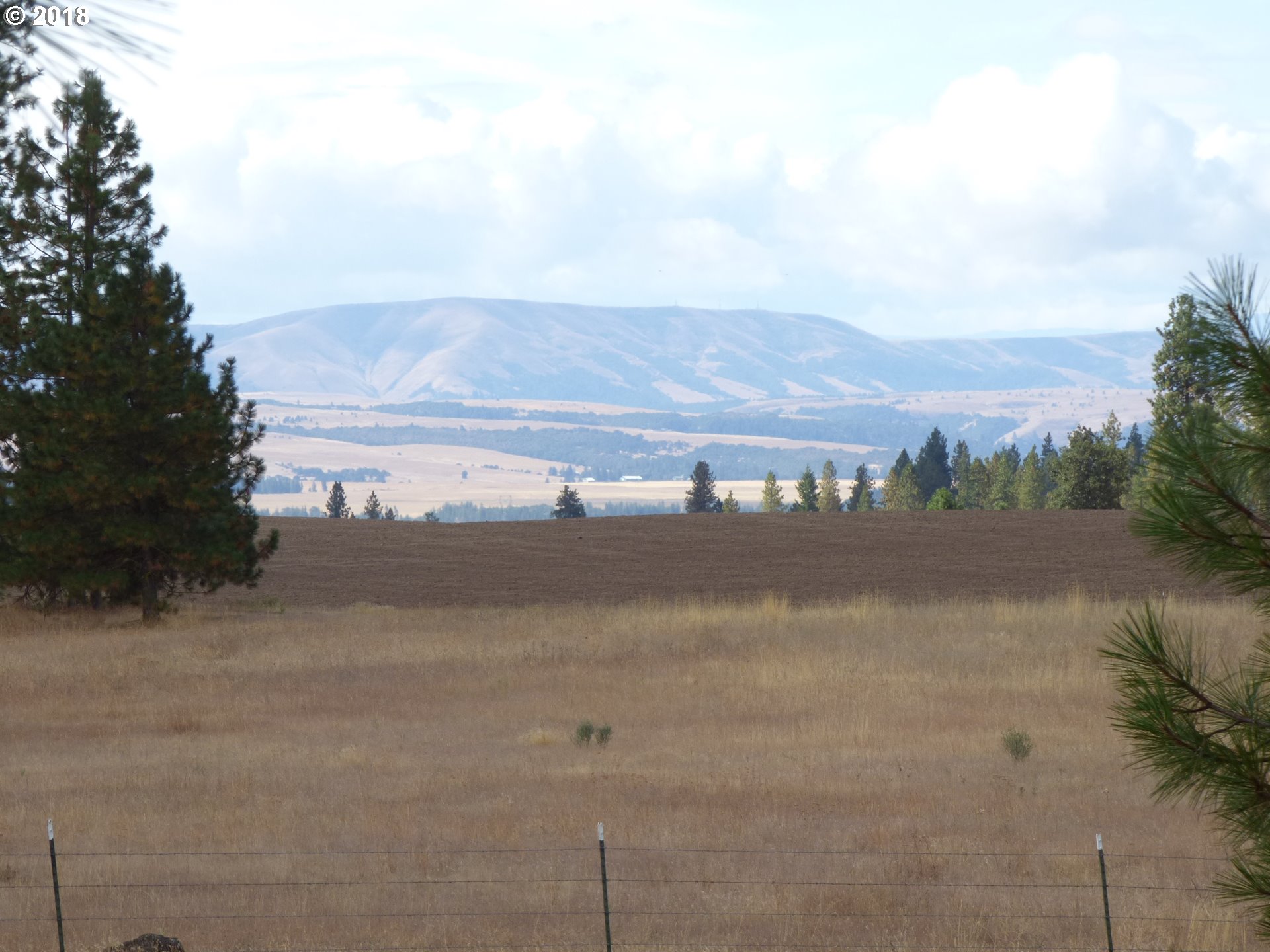 Browns Road Goldendale, WA 98620 - Photo 5 of 20 Gallery Image 5