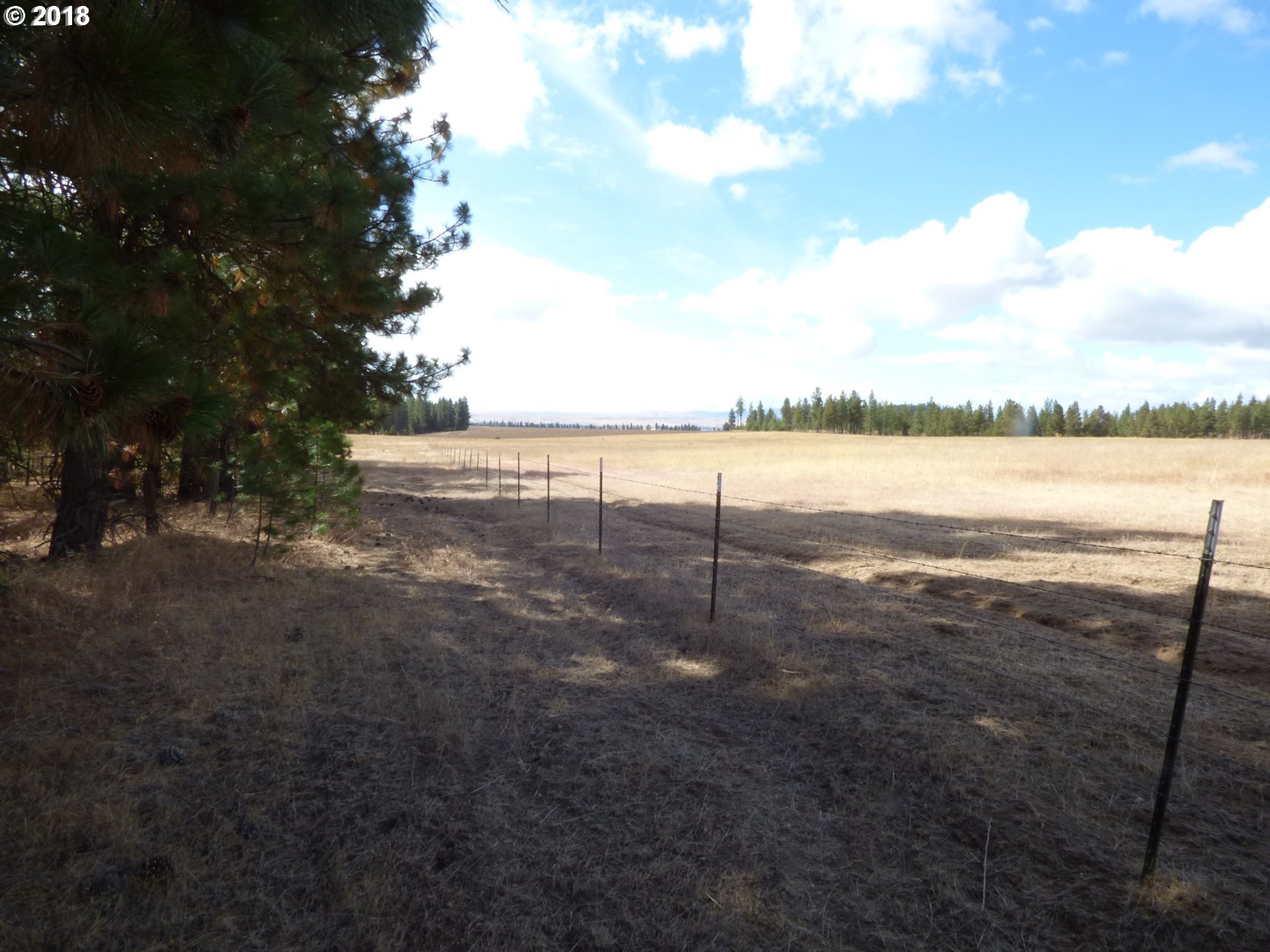 Browns Road Goldendale, WA 98620 - Photo 6 of 20 Gallery Image 6