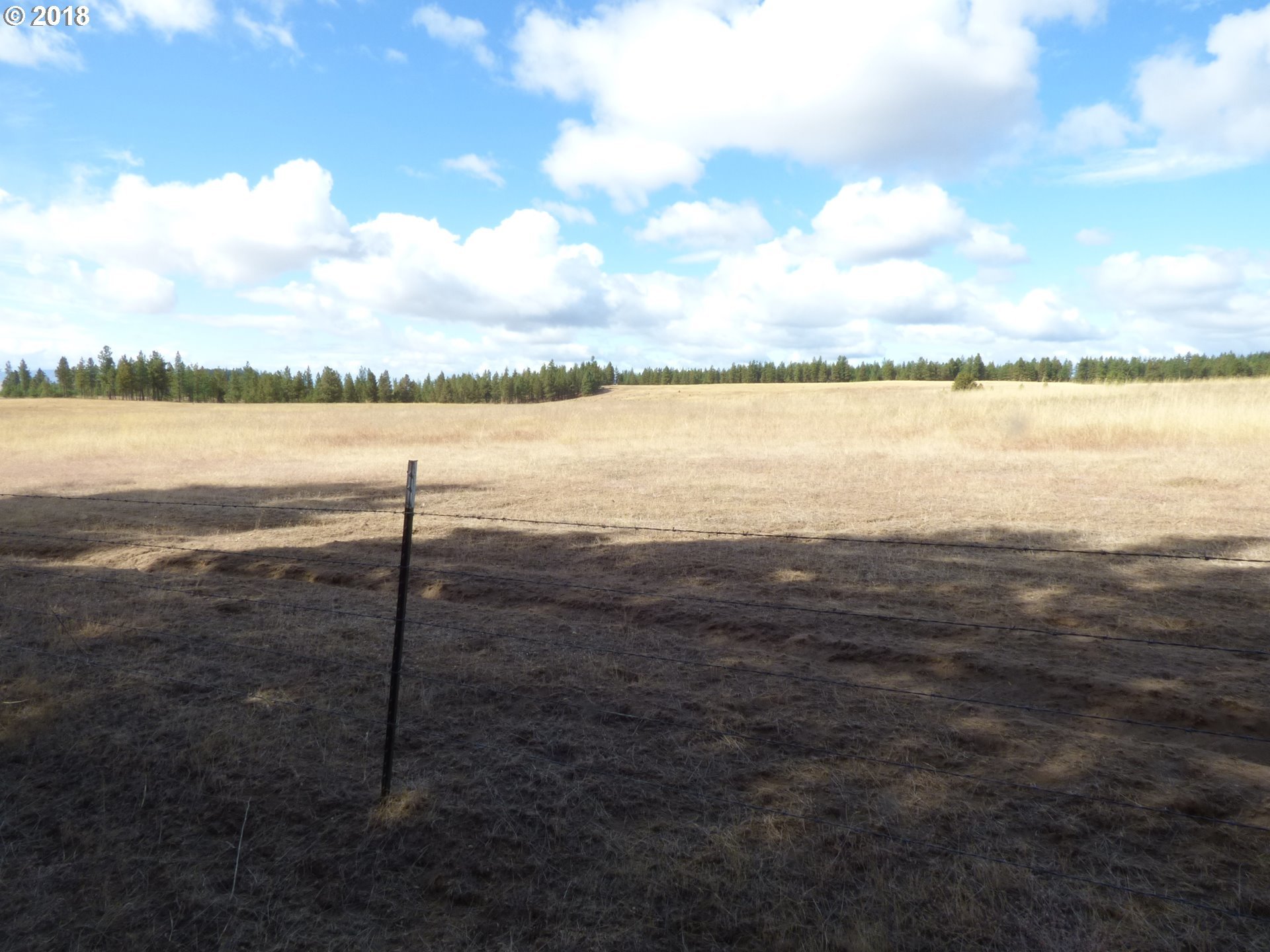Browns Road Goldendale, WA 98620 - Photo 7 of 20 Gallery Image 7