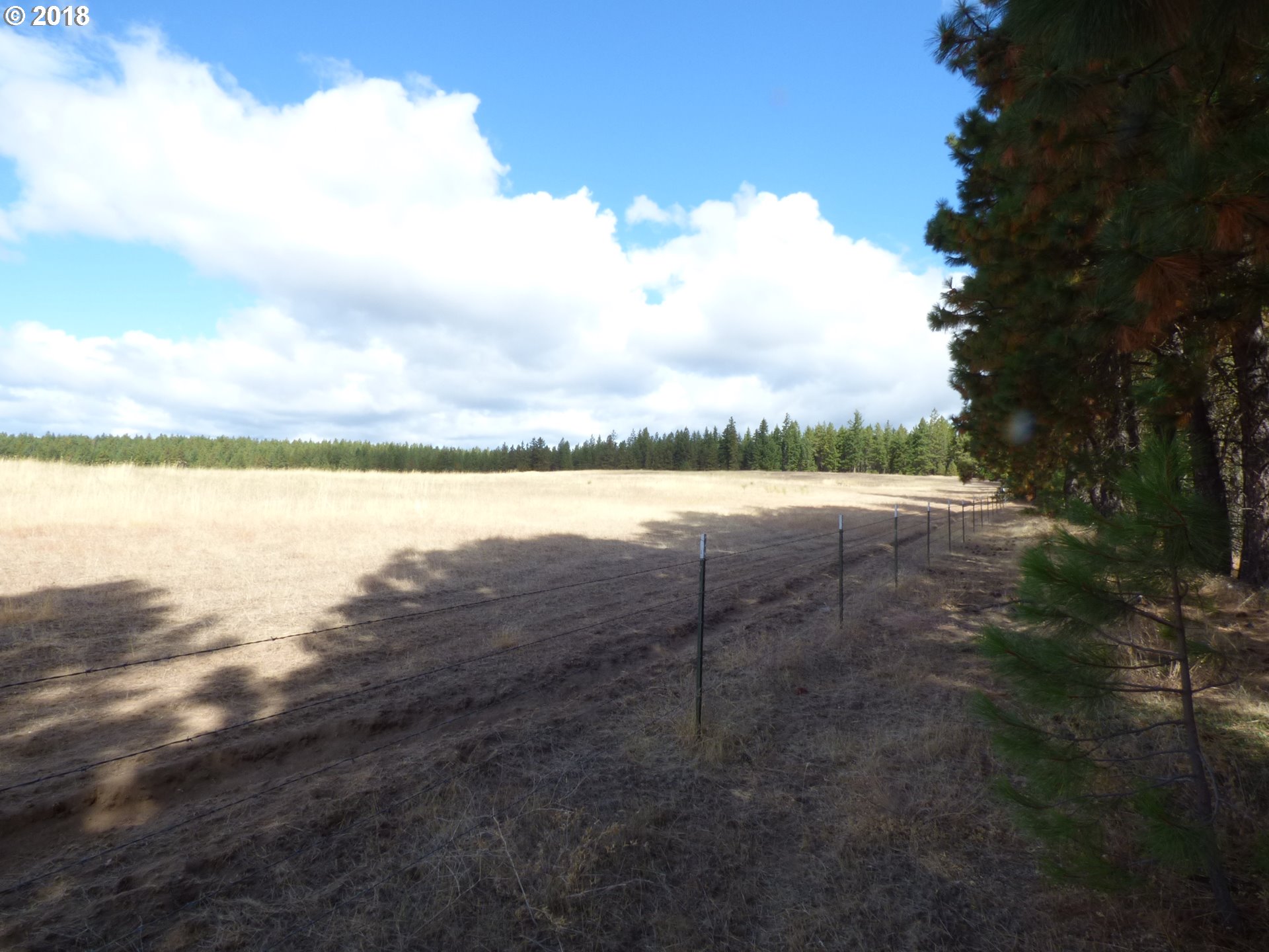 Browns Road Goldendale, WA 98620 - Photo 8 of 20 Gallery Image 8
