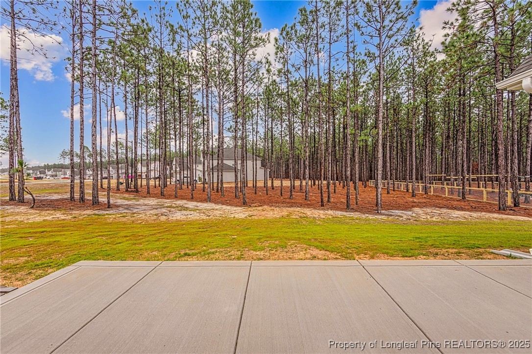 1105 Wolf Pne Court Fayetteville, NC 28311 - Photo 34 of 36 a view of a swimming pool with a yard