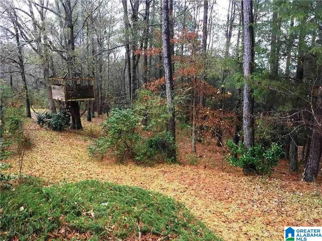 66 Dogwood Road Centreville, AL 35042 - Photo 28 of 31