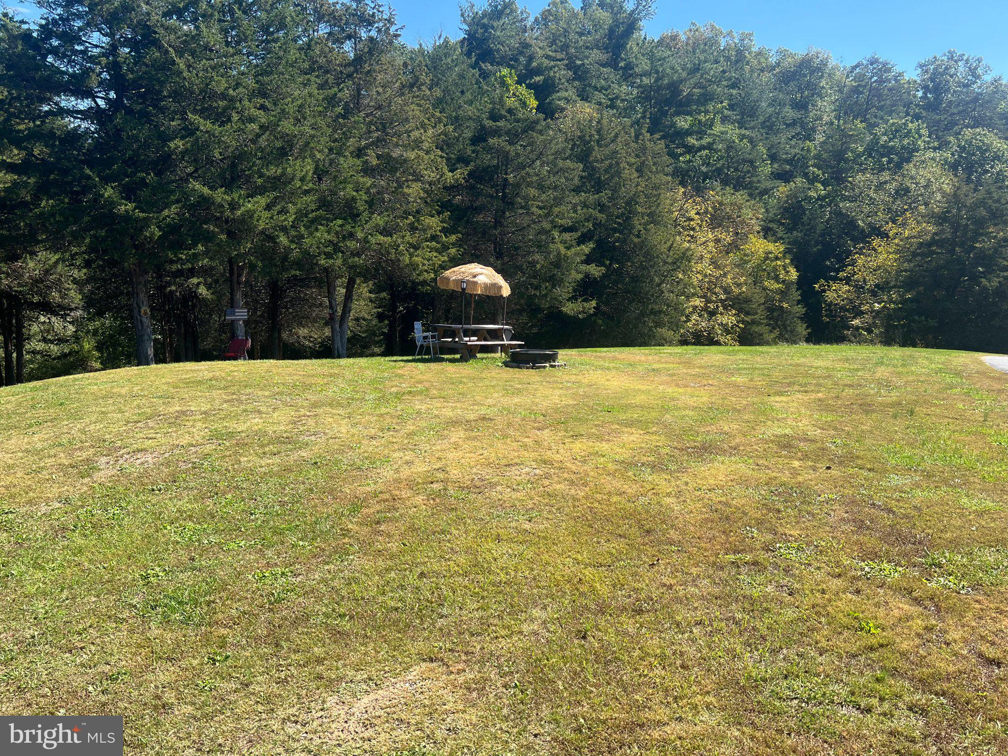 273 Roberts Road Toms Brook, VA 22660 - Photo 4 of 12 Gallery Image 4