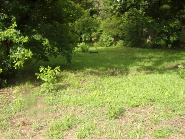 a view of yard with green space