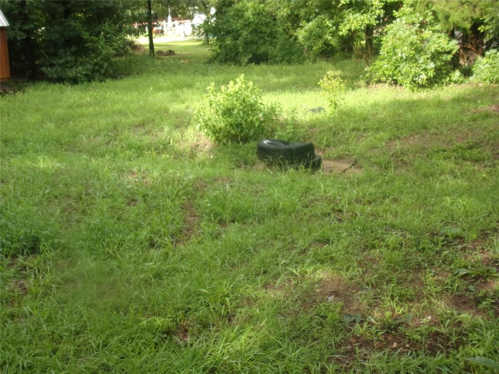 187 Holly Lane Murchison, TX 75778 - Photo 4 of 19 View of yard. Septic is located under the tires