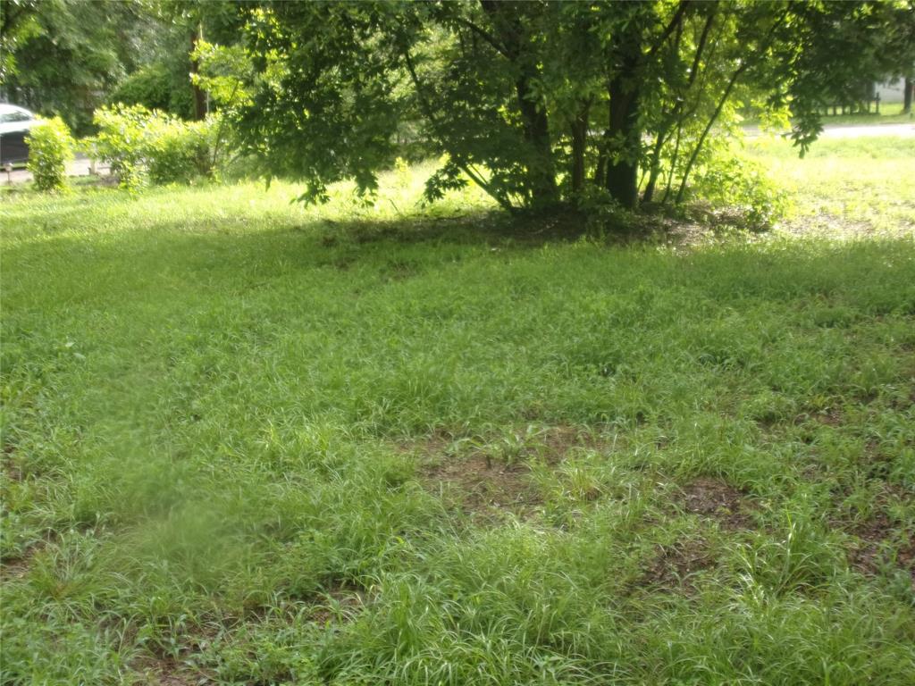 187 Holly Lane Murchison, TX 75778 - Photo 7 of 19 View of lot with trees