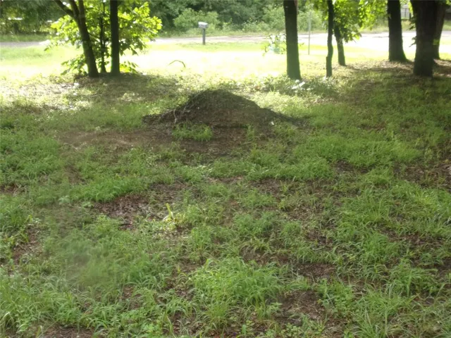 a view of a yard with an trees