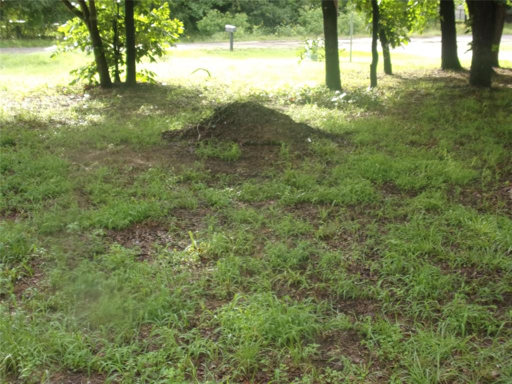 187 Holly Lane Murchison, TX 75778 - Photo 8 of 19 View of lot showing shde of trees for great home site.