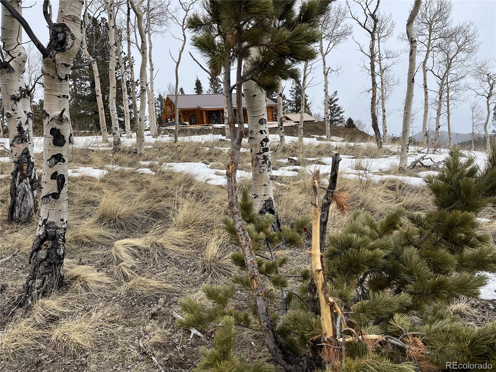 3425 Co Road Westcliffe, CO 81252 - Photo 14 of 15 a view of house with snow on the road