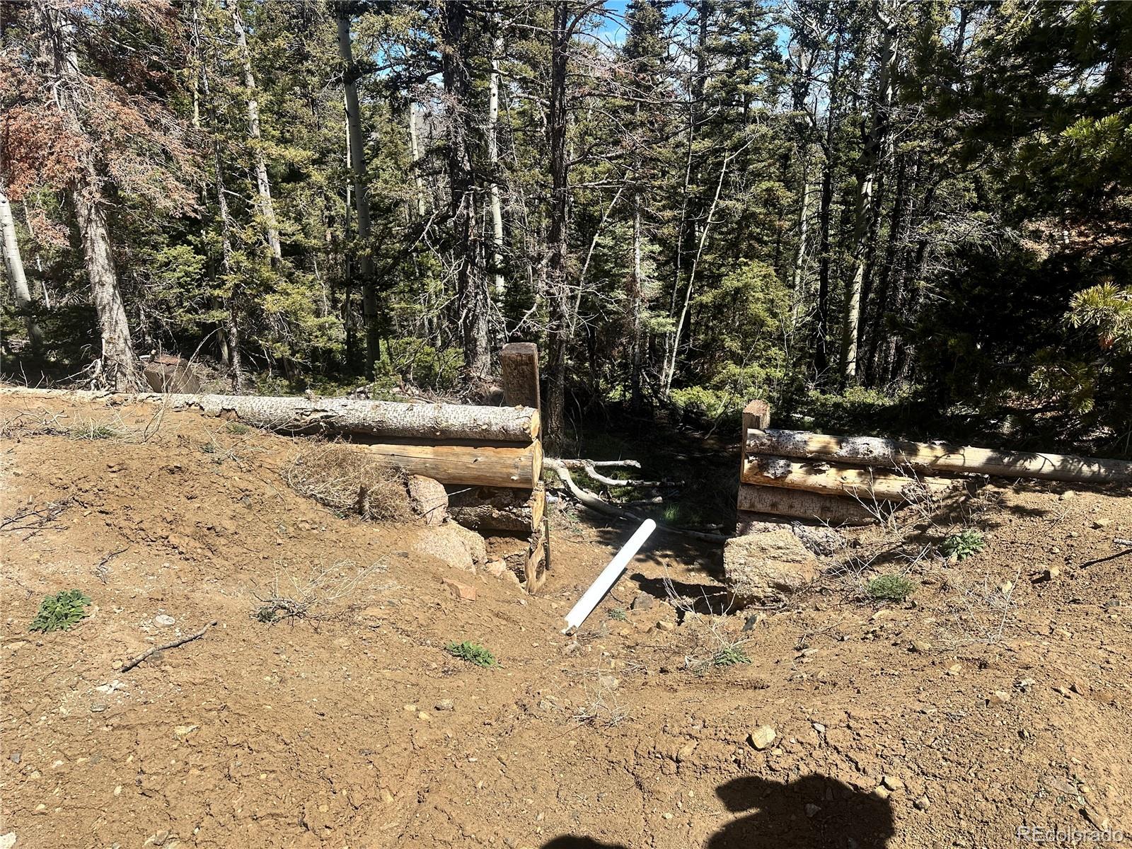 3425 Co Road Westcliffe, CO 81252 - Photo 3 of 15 a view of a yard with a tree