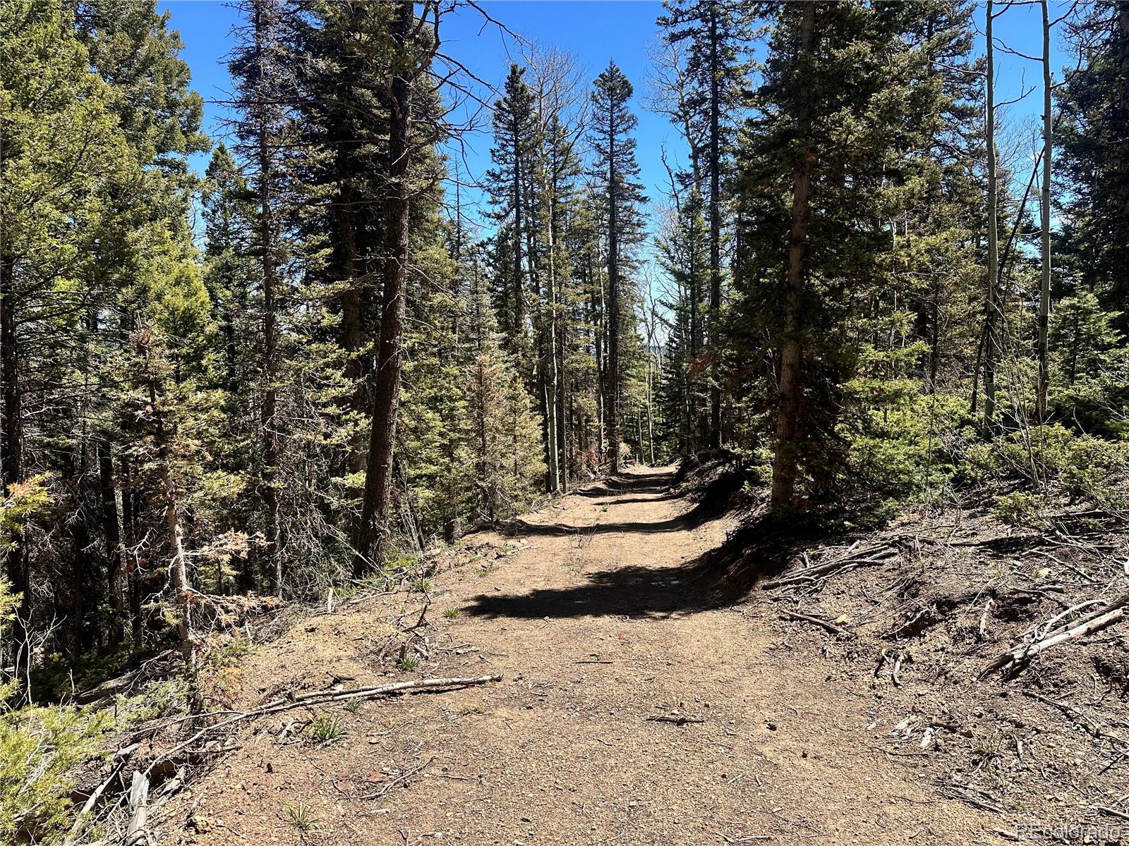 3425 Co Road Westcliffe, CO 81252 - Photo 10 of 15 a view of a yard with trees
