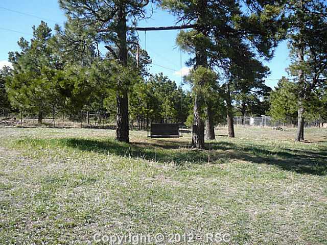 12070 Northcliff Road Elbert, CO 80106 - Photo 4 of 24 Shady swing for lazy afternoons
