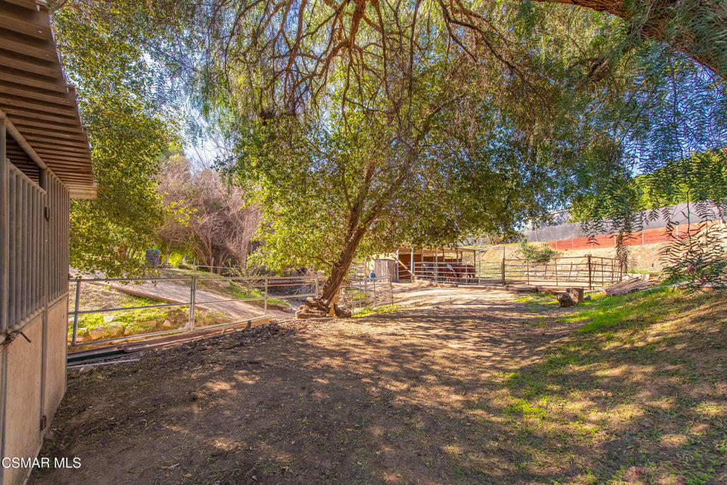 683 Languid Lane Simi Valley, CA 93065 - Photo 23 of 27 a view of yard with trees