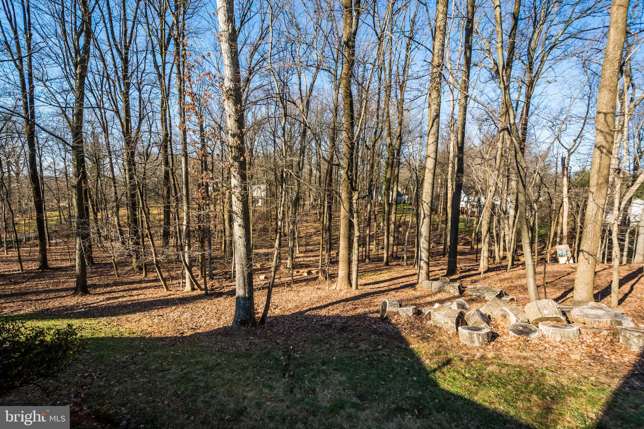 4454 Columbia Road Ellicott City, MD 21042 - Photo 58 of 58 Gallery Image 58
