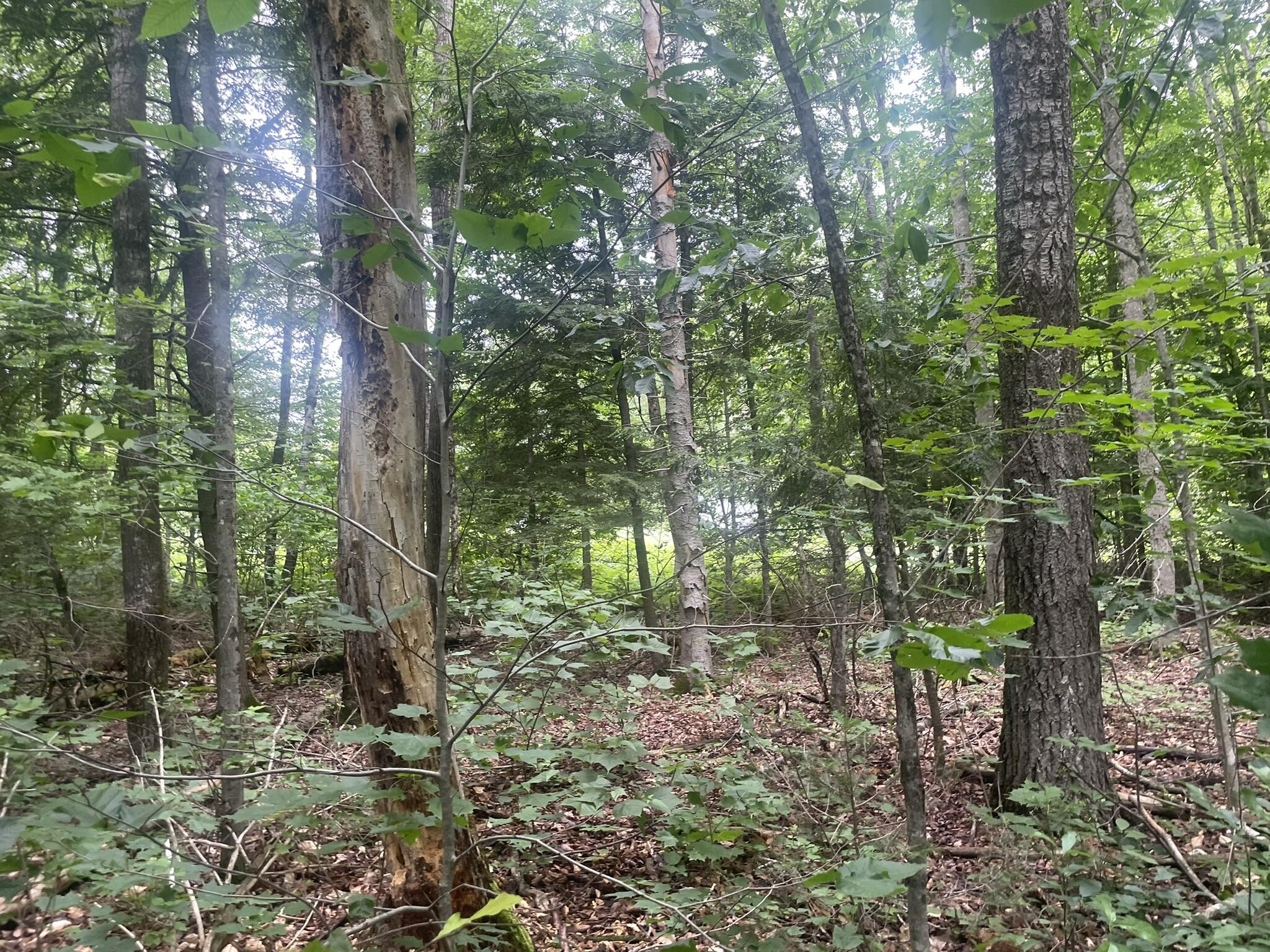 1075 Hill Road Clinton, ME 04927 - Photo 130 of 172 IMG_6228