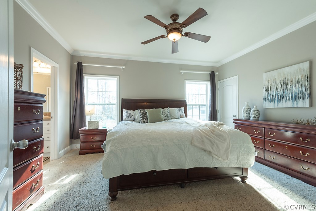 1564 Dorrell Road Aylett, VA 23009 - Photo 18 of 36 Gallery Image 18