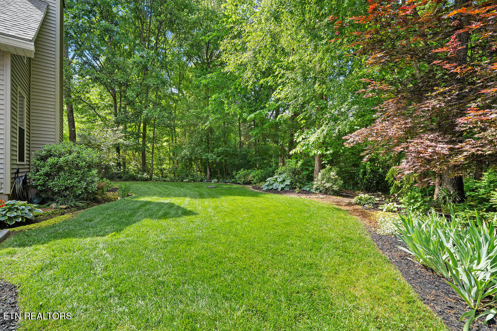 306 Inagehi Lane Loudon, TN 37774 - Photo 44 of 50 DSC04453