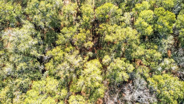 $69,900 | 0 Lesley Street, Tallahassee, FL 32305