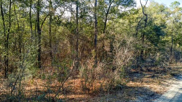 $69,900 | 0 Lesley Street, Tallahassee, FL 32305