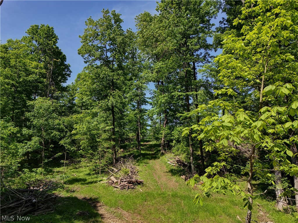 Chardon Rd Mount Mount Vernon, OH 43050 - Photo 1 of 7 Gallery Image 1
