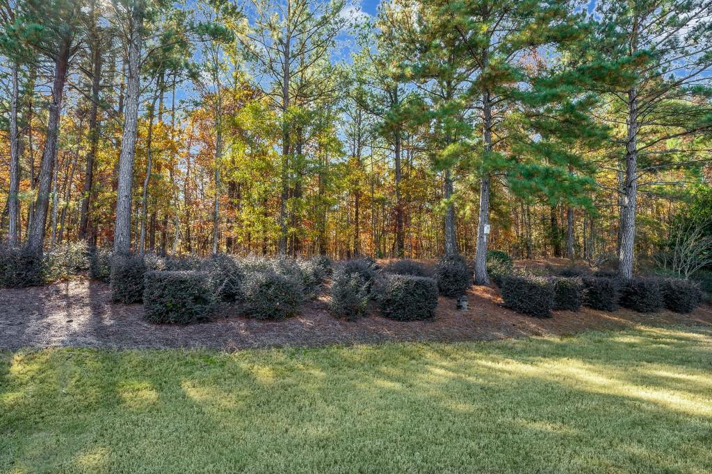 1081 Spring Station Road Greensboro, GA 30642 - Photo 35 of 35 a view of outdoor space and yard