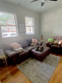 2835 North Racine Avenue, Unit 1R Chicago, IL 60657 - Photo 4 of 13