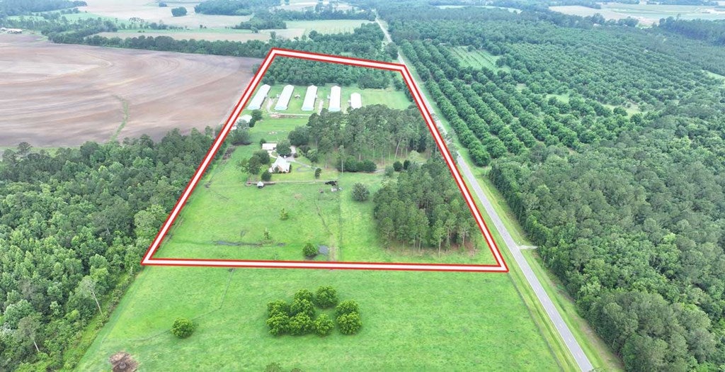 4224 Bee Line Road Coolidge, GA 31738 - Photo 14 of 91 Gallery Image 14