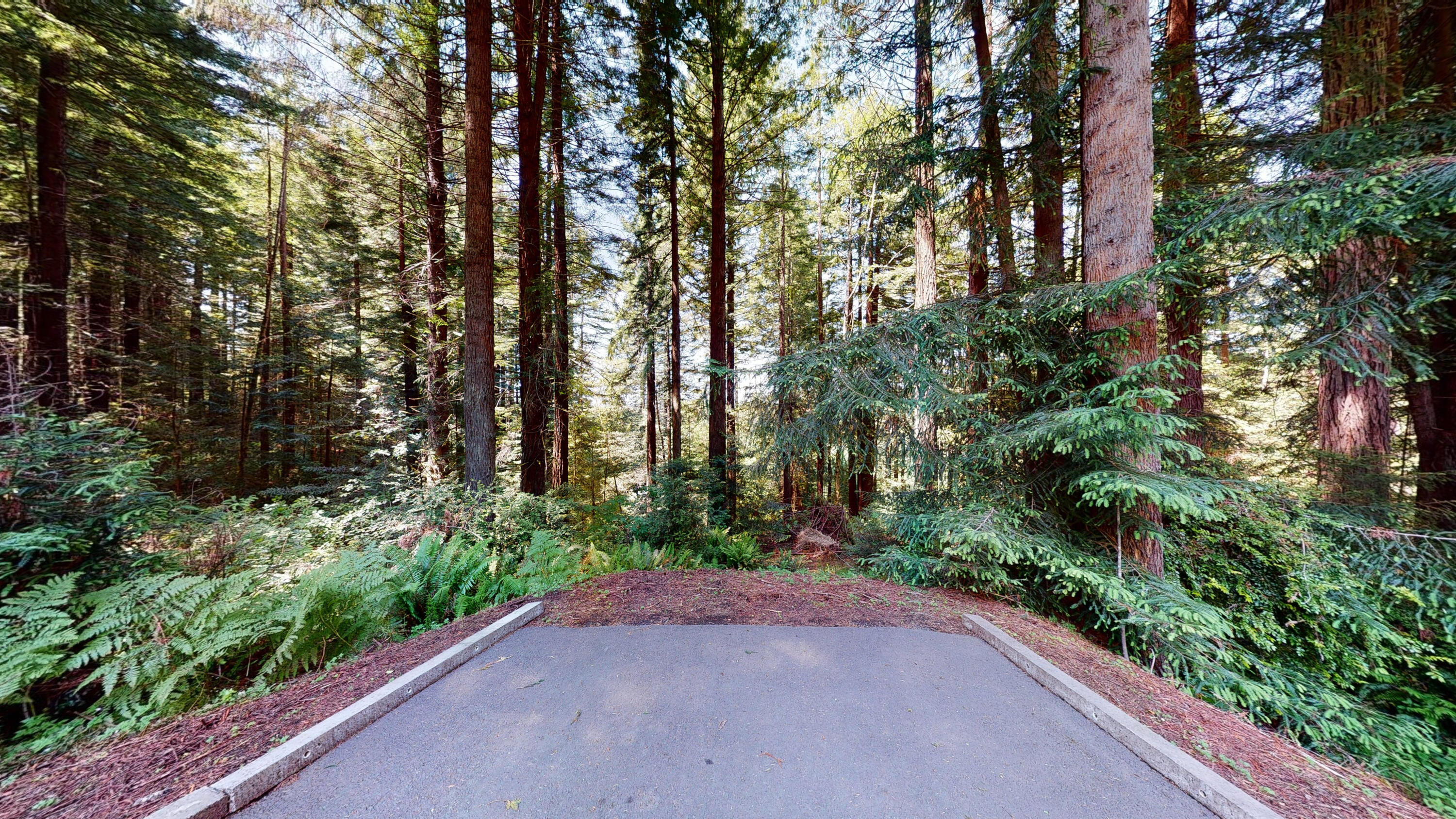 2869 Arthur Road McKinleyville, CA 95519 - Photo 42 of 55
