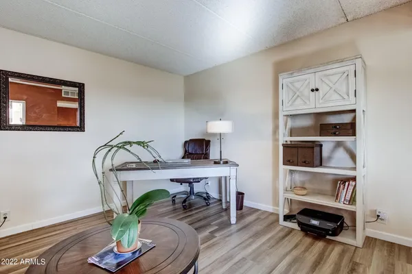 a living room with furniture and a potted plant