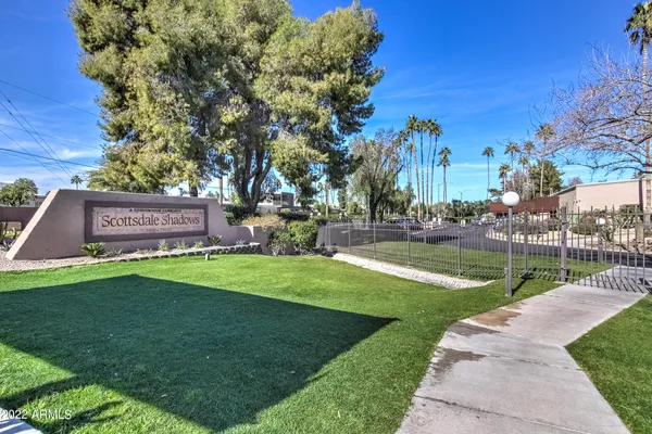 a view of a park with large trees