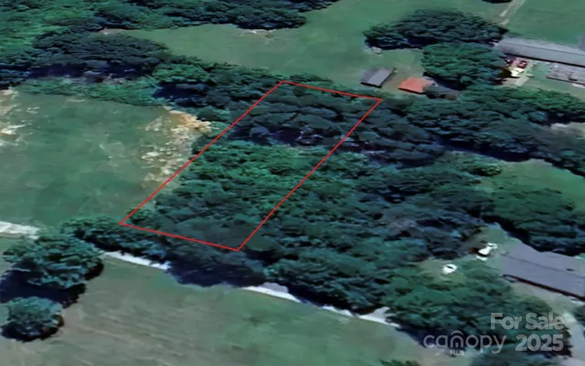 a view of a garden with a flower