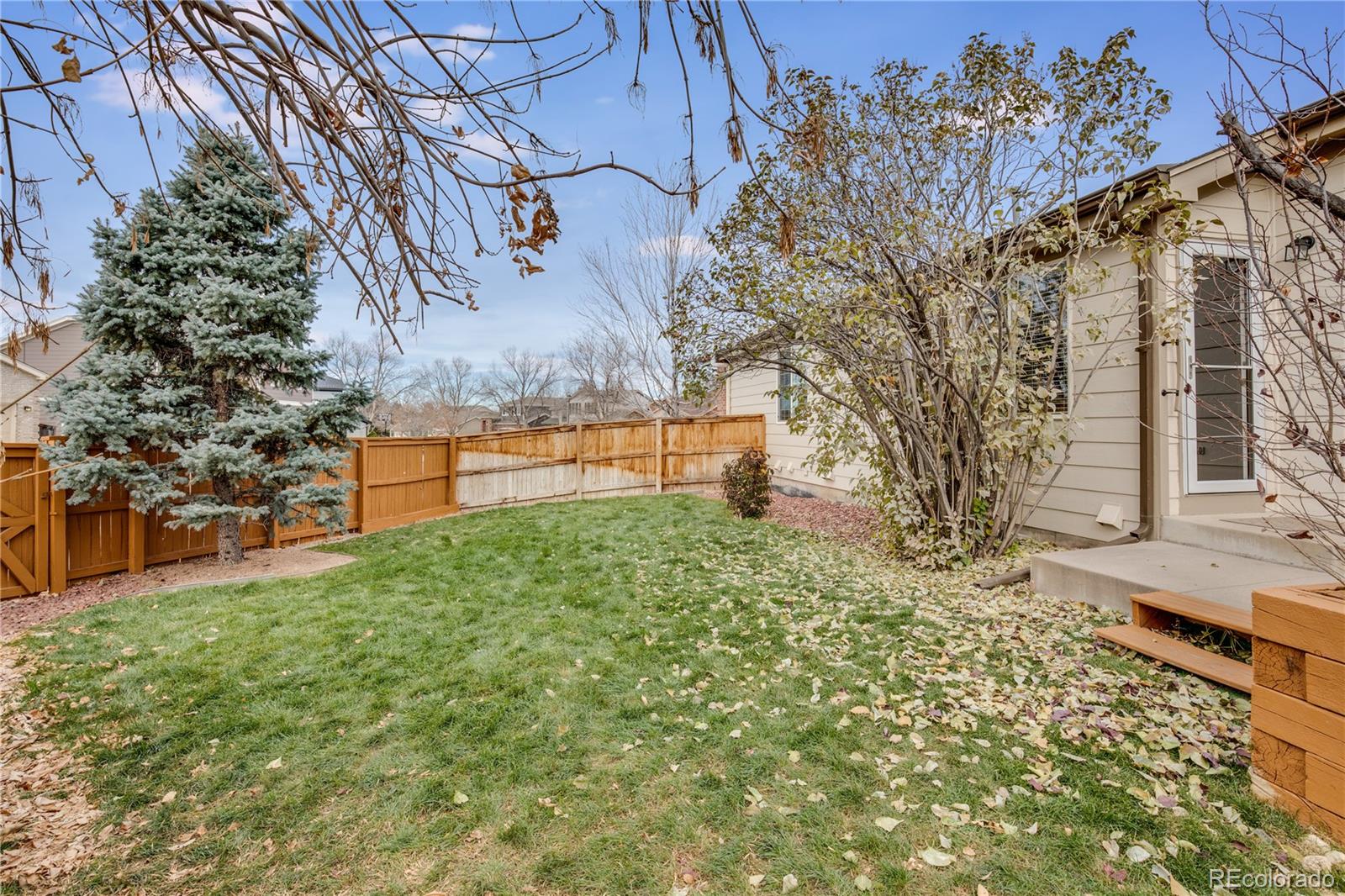 7135 Leopard Drive Lone Tree, CO 80124 - Photo 21 of 47 a backyard of a house with lots of green space