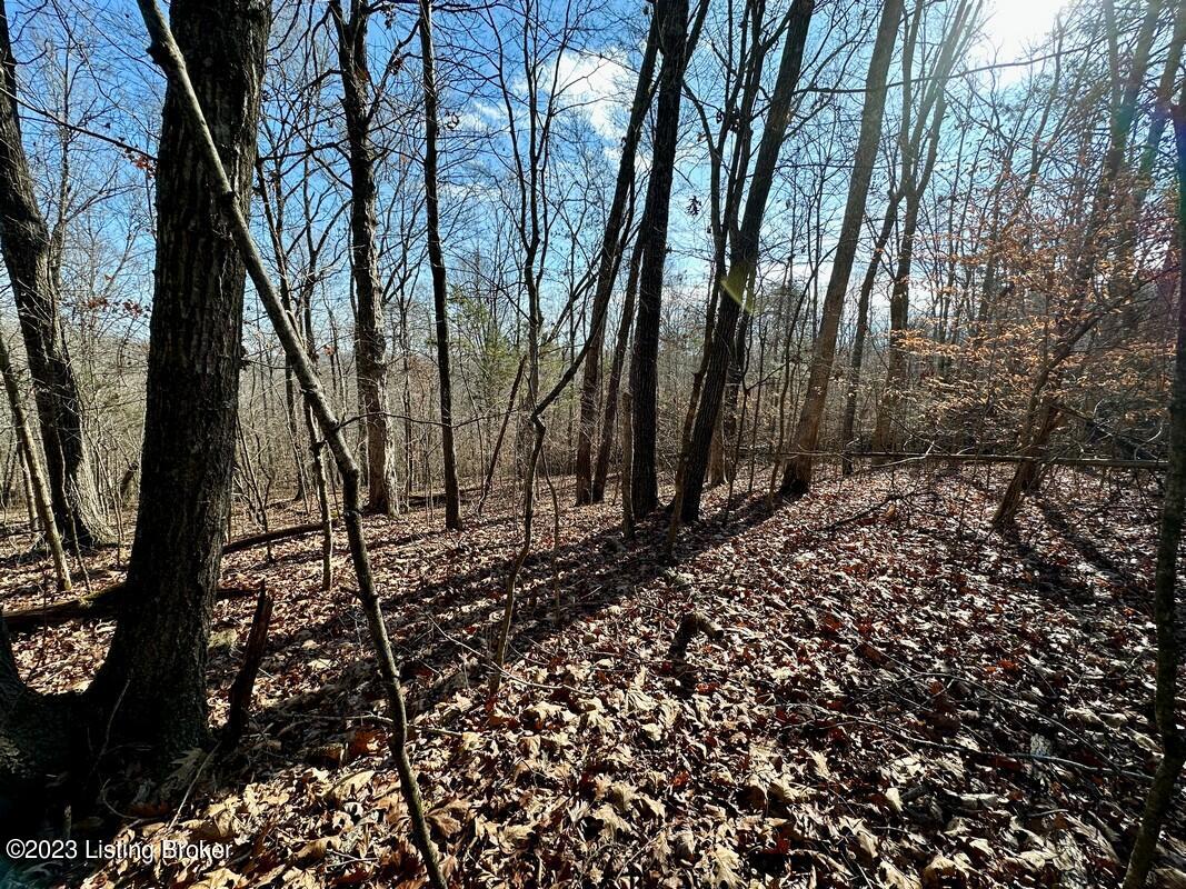 L59 Ted Logsdon Road Clarkson, KY 42726 - Photo 1 of 14 Image00011