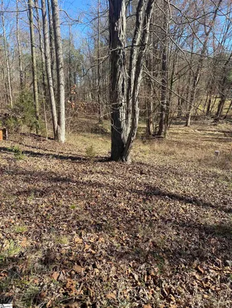 $45,000 | 0 Tomachichi Road, Cross Hill, SC 29332