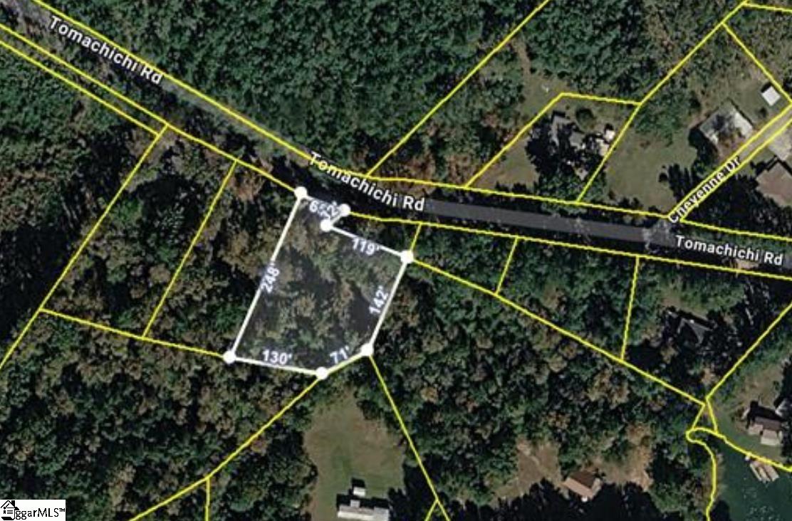 0 Tomachichi Road Cross Hill, SC 29332 - Photo 11 of 12