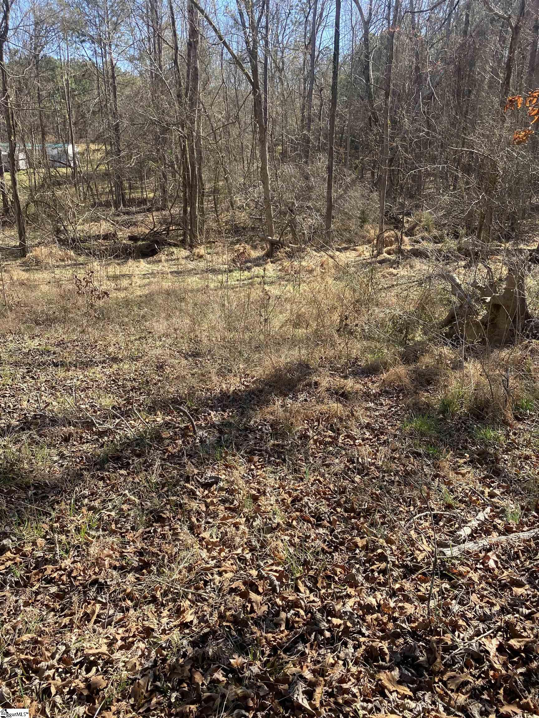 0 Tomachichi Road Cross Hill, SC 29332 - Photo 2 of 12