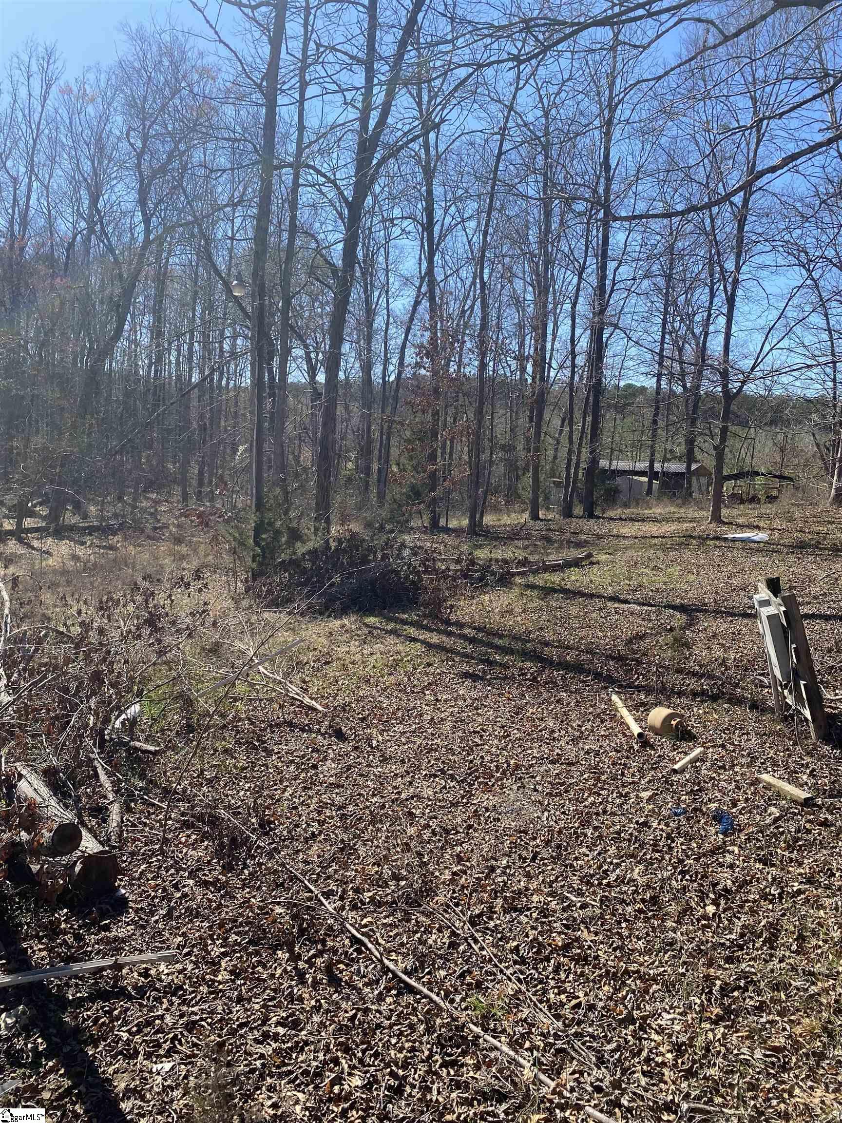 0 Tomachichi Road Cross Hill, SC 29332 - Photo 3 of 12